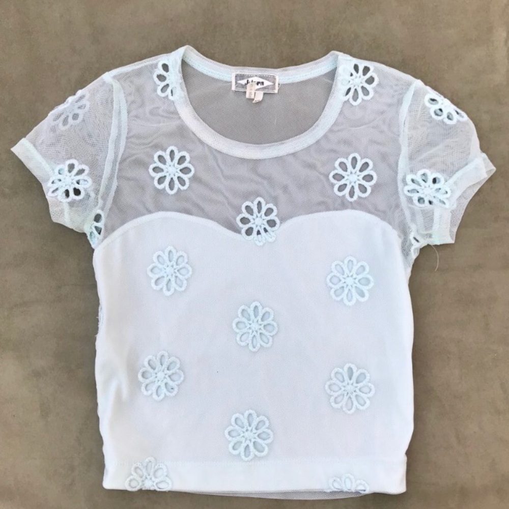 Dainty Daisy Embroidered Crop Top